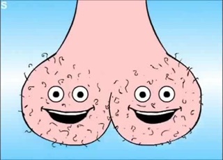 BALLSACK